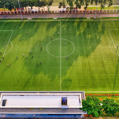 50mm PE مدرسة اصطناعية في الهواء الطلق لكرة القدم الاصطناعية العشب