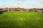 ملعب كرة القدم العشب الاصطناعي لكرة القدم PE 50mm